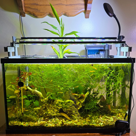 Aqua Hydroponic Aquarium Black Light Risers Staggered Extended Dual Tab 18mm Rim - Picture 1 of 16